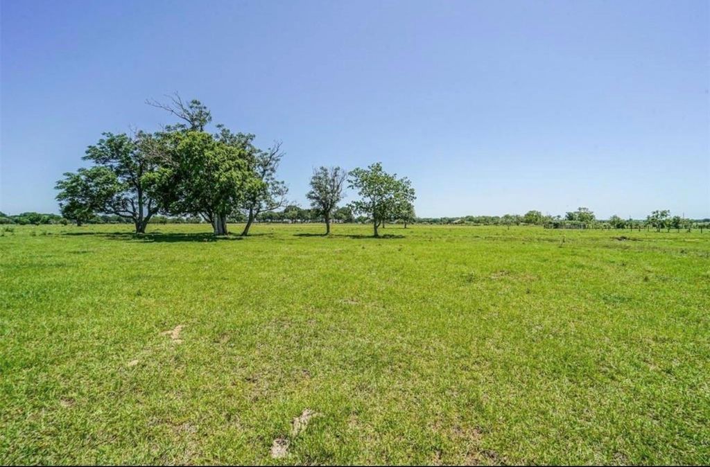 Wide expanse of cleared green pasture running to a distant treeline under an open blue sky