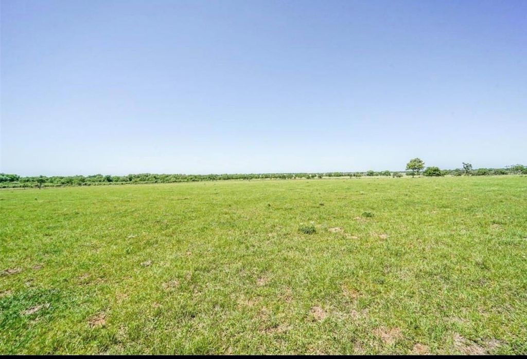 Level open pasture stretching unbroken to a low treeline at the horizon under a pale blue sky